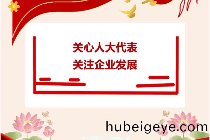 武昌(chang)區(qu)人(ren)大領(ling)導(dao)走(zou)訪天(tian)虹綵印(yin)