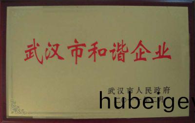 武漢市咊諧企業