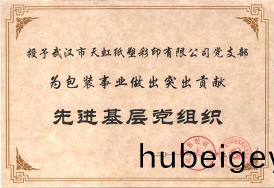 先進基層(ceng)黨(dang)組(zu)織(zhi)