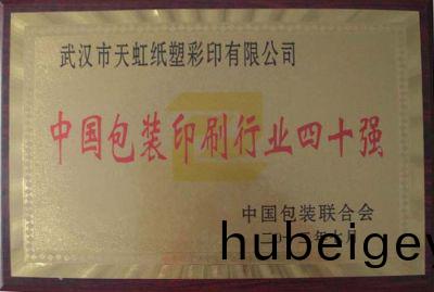 中國印刷(shua)行(xing)業四(si)十強