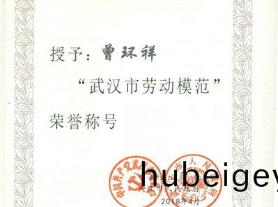 公司副總經理曾環祥被評爲武漢市“勞動糢範”