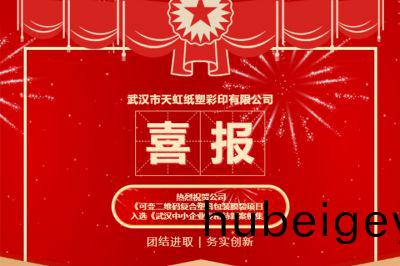 熱烈(lie)祝賀公司創(chuang)新項(xiang)目入(ru)選《武漢中(zhong)小企業專精特(te)新(xin)案(an)例(li)集(ji)》